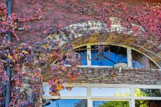 Foto 39 di 42: VENDESI PRESTIGIOSO COMPLESSO IMMOBILIARE STORICO CON PARCO SECOLARE NEL CUORE DI MONTELLO