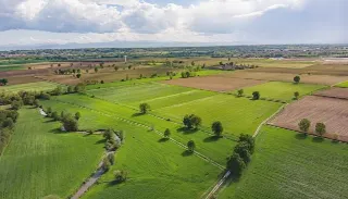 Foto 4 di 5: Terreni agricoli in vendita