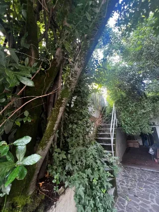 Foto 13 di 25: Esclusiva villa d'epoca con piuù unità