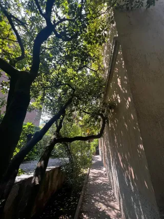Foto 18 di 25: Esclusiva villa d'epoca con piuù unità