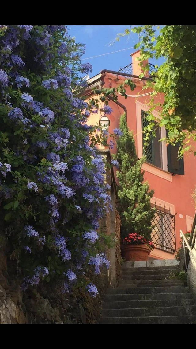 VENDESI VILLA CON PISCINA A CHIAVARI