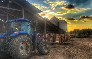 Foto 2 di 4: Terreni e fabbricati agricoli in vendita