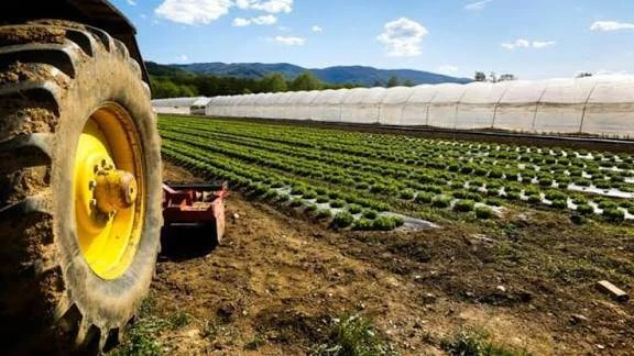 Terreni e fabbricati agricoli in vendita