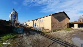 Foto 12 di 13: LOTTO AGRICOLO CON CASCINA E CAPANNONI ANNESSI