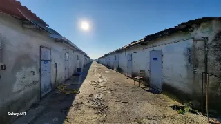 Foto 4 di 13: LOTTO AGRICOLO CON CASCINA E CAPANNONI ANNESSI