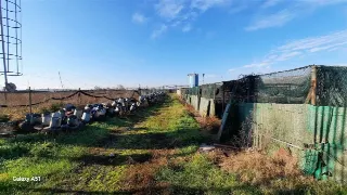 Foto 6 di 13: LOTTO AGRICOLO CON CASCINA E CAPANNONI ANNESSI