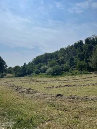 Foto 6 di 15: Lotto edificabile zona Castelli Calepio