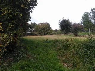 Foto 2 di 3: Ampio appezzamento agricolo in vendita (catastalmente vigneto)
