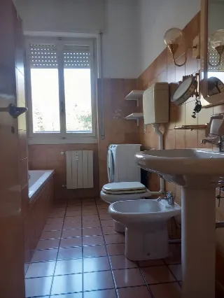 Foto 16 di 16: Grande appartamento trilocale con terrazza abitabile