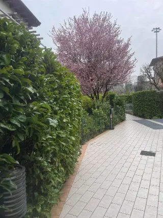 Foto 6 di 9: A MOZZO: VENDESI BILOCALE CON GIARDINO