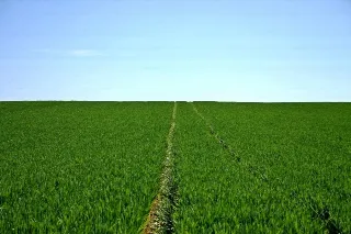 Foto 1 di 1: Ampio appezzamento agricolo a Bergamo zona pedecollinare