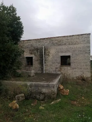 Foto 3 di 7: Vendesi oliveto con rustico