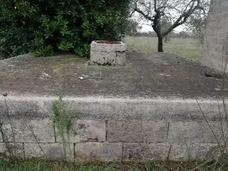 Foto 5 di 7: Vendesi oliveto con rustico