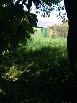 Foto 14 di 19: Rustico casale in vendita a Peia Bergamo