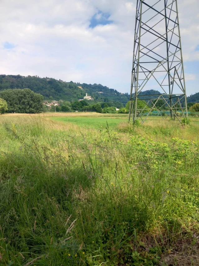 Terreno agricolo pianeggiante in vendita a Bergamo