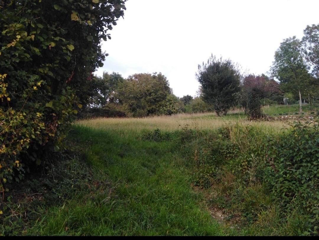 Terreno agricolo (varie colture catastali) in vendita