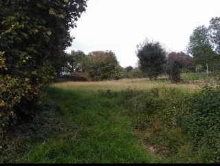 Foto 1 di 3: Terreno agricolo (varie colture catastali) in vendita