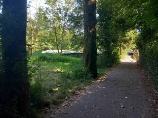 Foto 1 di 8: Terreno agricolo recintato e con accesso al ruscello in vendita a Ponteranica
