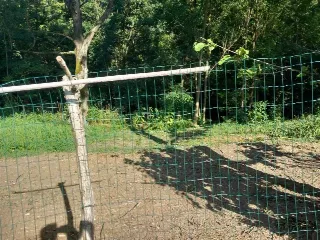 Foto 3 di 8: Terreno agricolo recintato e con accesso al ruscello in vendita a Ponteranica