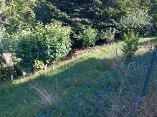 Foto 4 di 8: Terreno agricolo recintato e con accesso al ruscello in vendita a Ponteranica