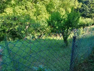 Foto 5 di 8: Terreno agricolo recintato e con accesso al ruscello in vendita a Ponteranica