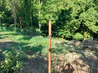 Foto 6 di 8: Terreno agricolo recintato e con accesso al ruscello in vendita a Ponteranica