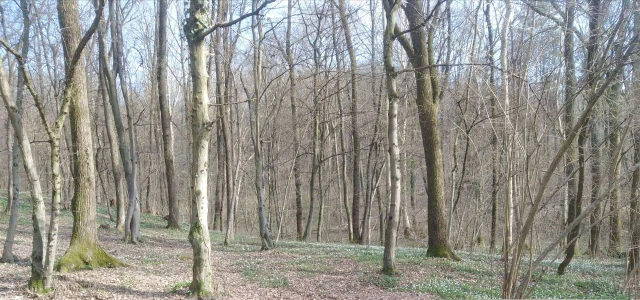 Terreno agricolo in posizione soleggiata in vendita