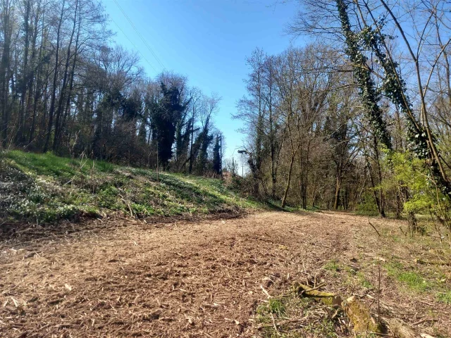 Terreno agricolo seminativo in affitto a Ponteranica