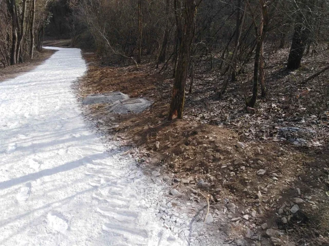 Terreno boschivo in affitto